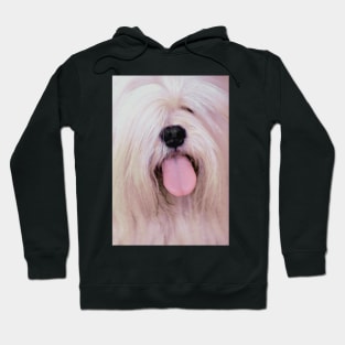 Fluffy Dog Tongue Out Hoodie